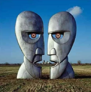 Pink Floyd, The Division Bell [20th Anniversary Edition], Vinyl Record