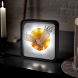 Harry Potter Hedwig Perspex Lamp